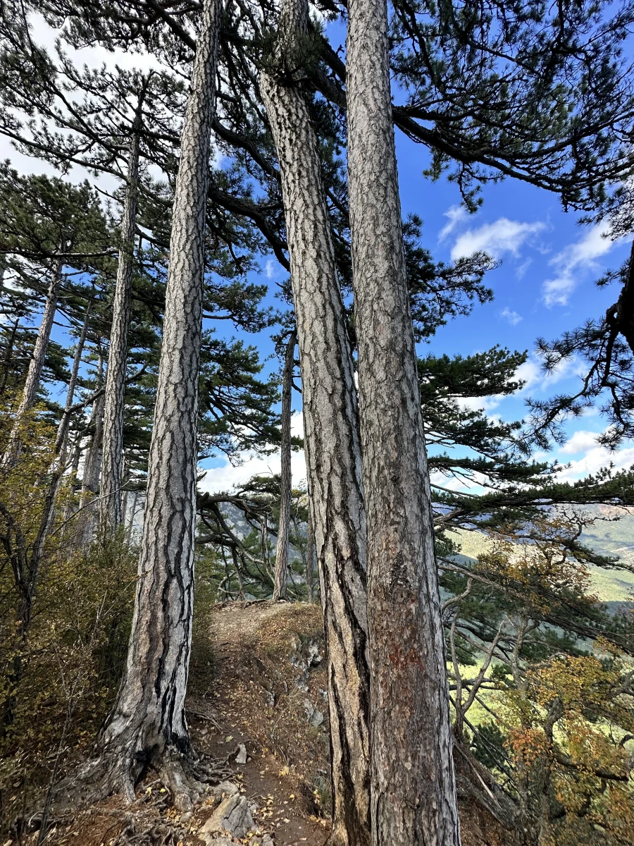 Перевал Пендикюль Ай-петри
