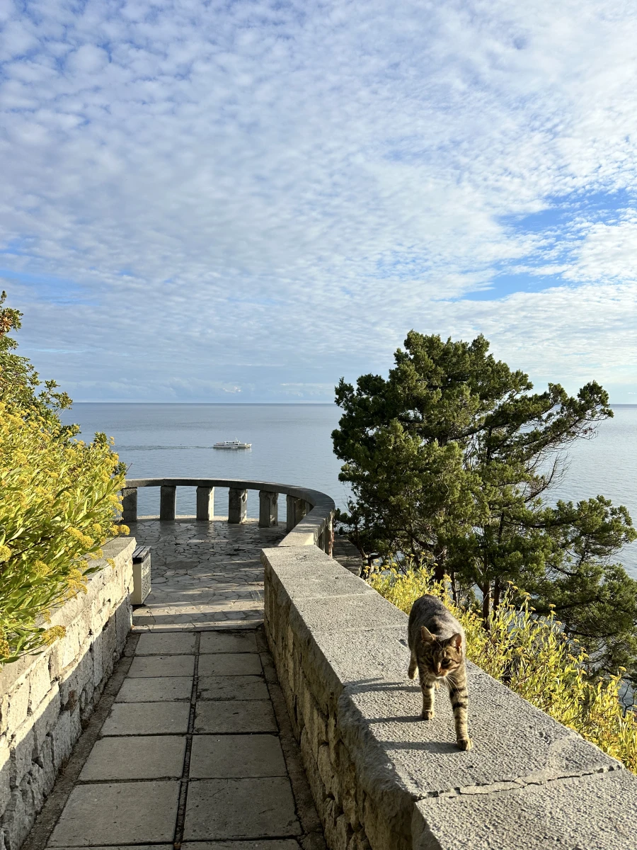 Смотровая площадка Харакский парк