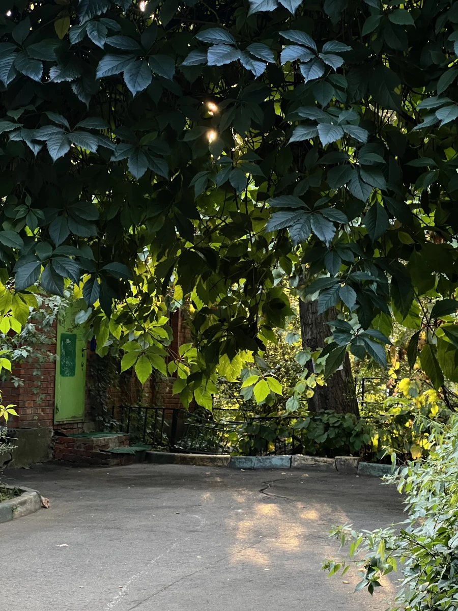 Дверь увитая плющом в Хитровском переулке