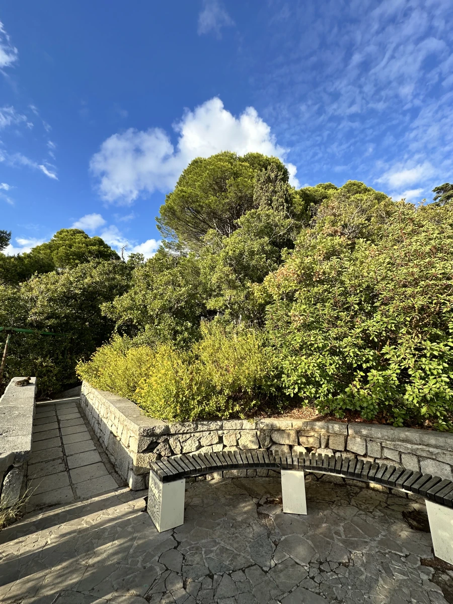 Смотровая площадка Харакский парк