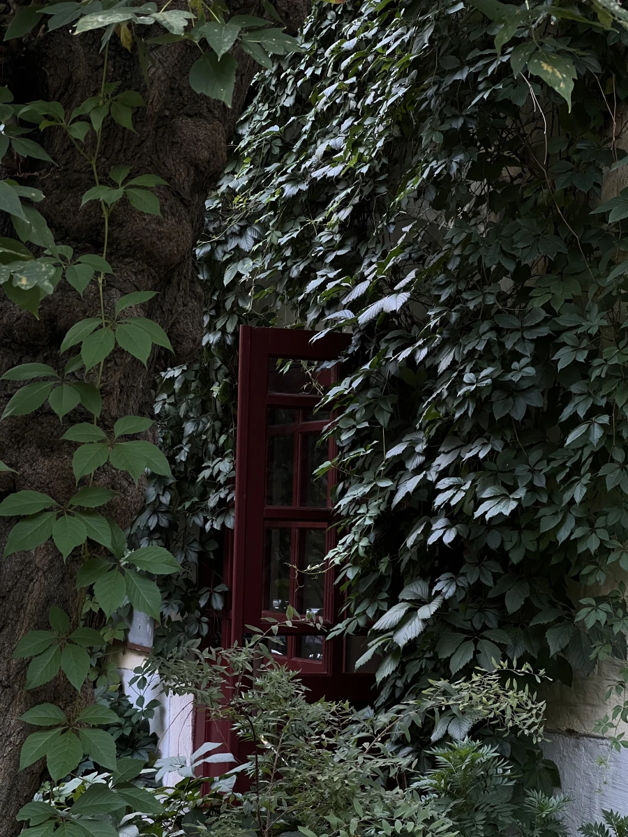 Дверь увитая плющом в Хитровском переулке