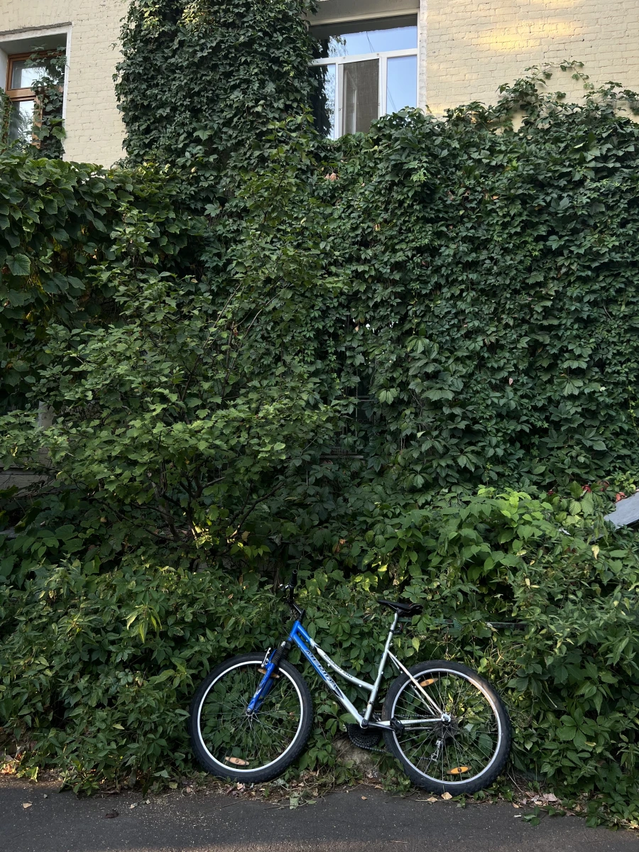 Дверь увитая плющом в Хитровском переулке