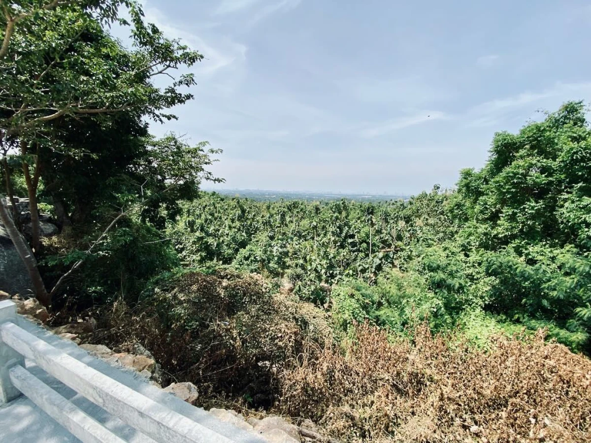 Безлюдная смотровая площадка