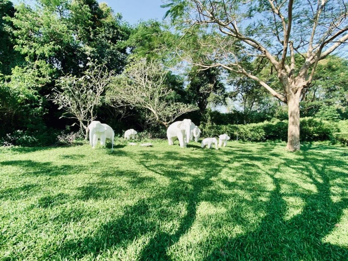 Фигурки белых слонов