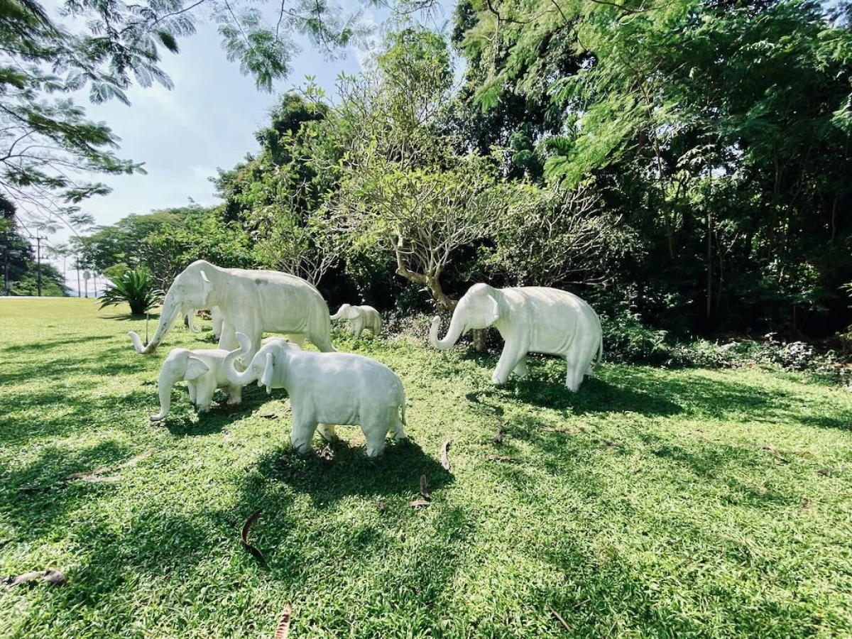 Фигурки белых слонов