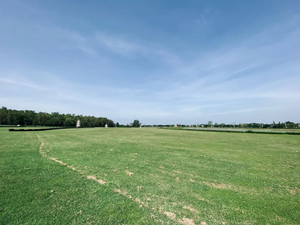 Большая поляна