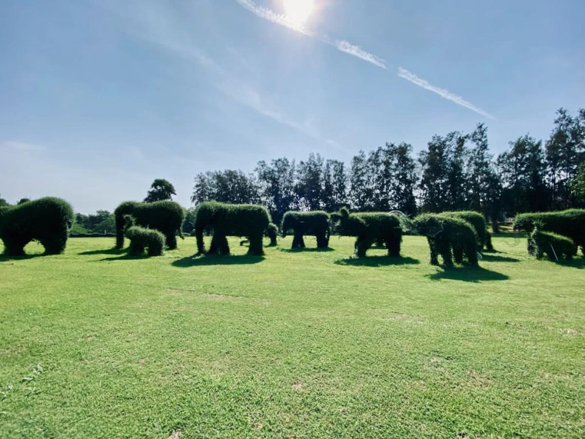 Большие фигуры слонов из кустарника