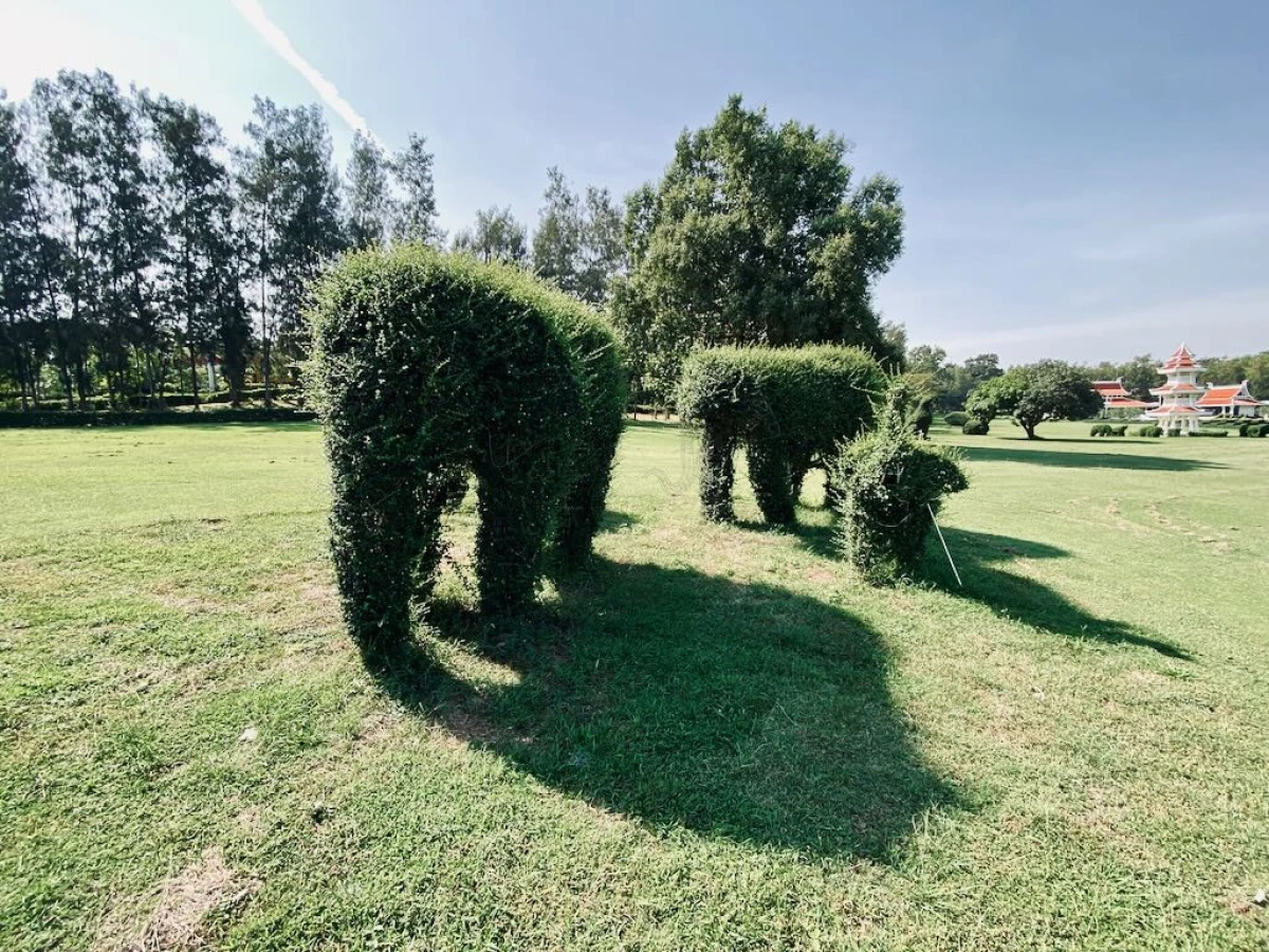 Большие фигуры слонов из кустарника