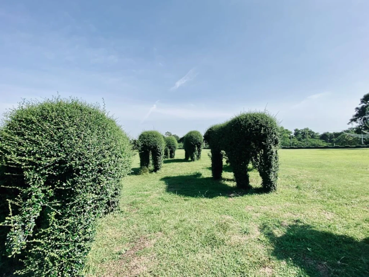 Большие фигуры слонов из кустарника