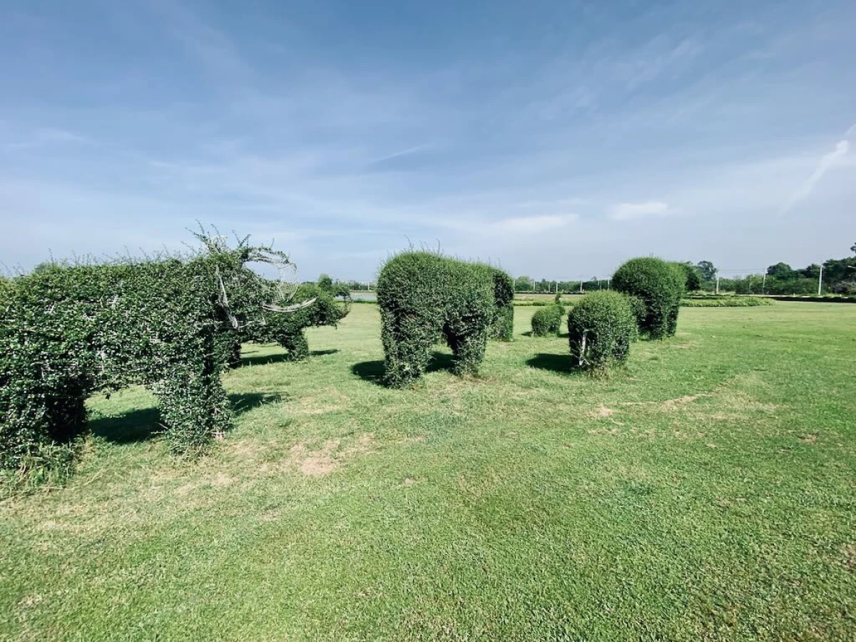 Большие фигуры слонов из кустарника