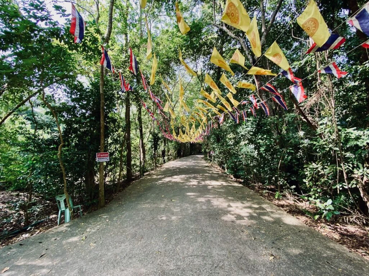 Дорога под флажками