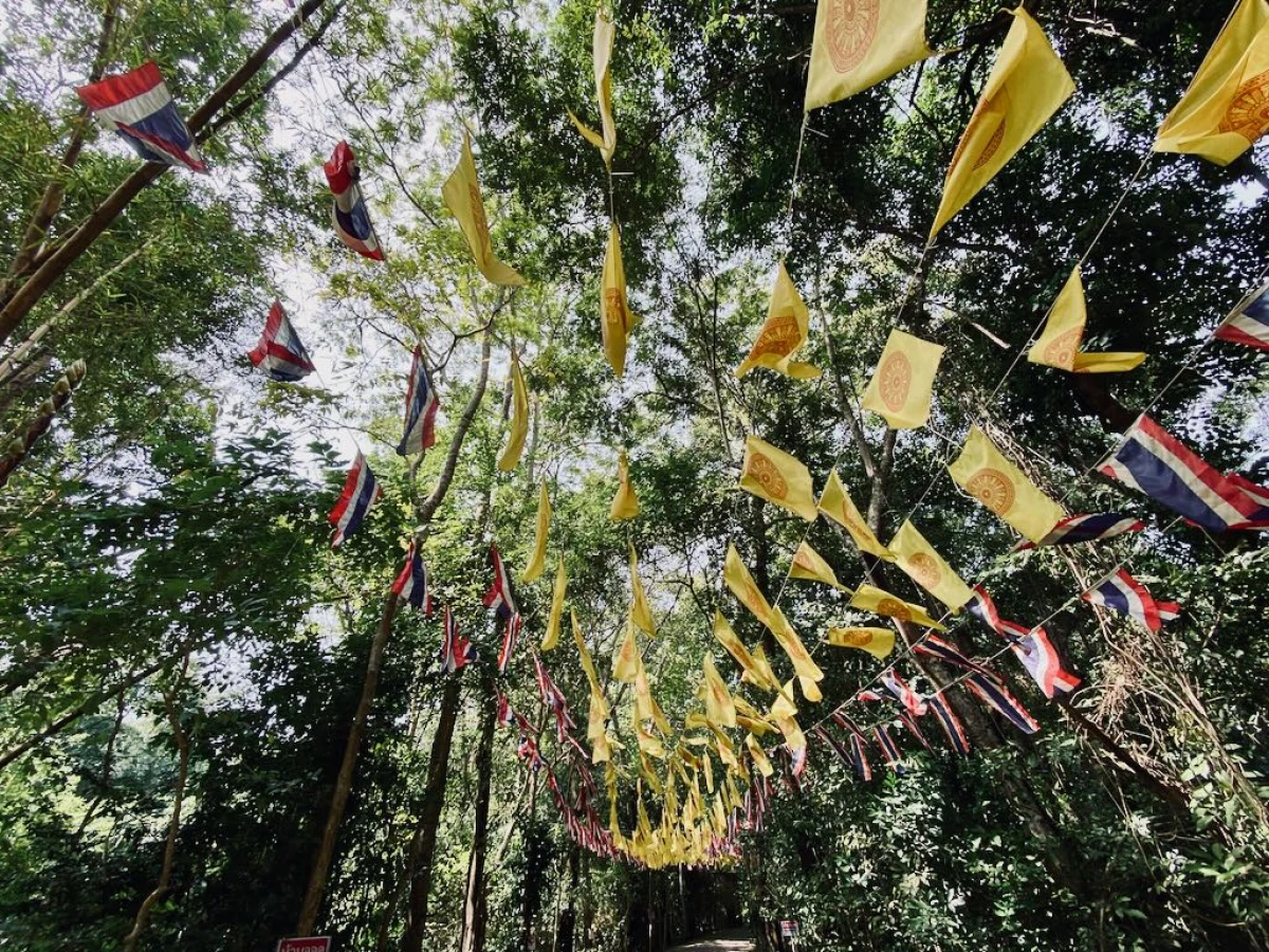 Дорога под флажками