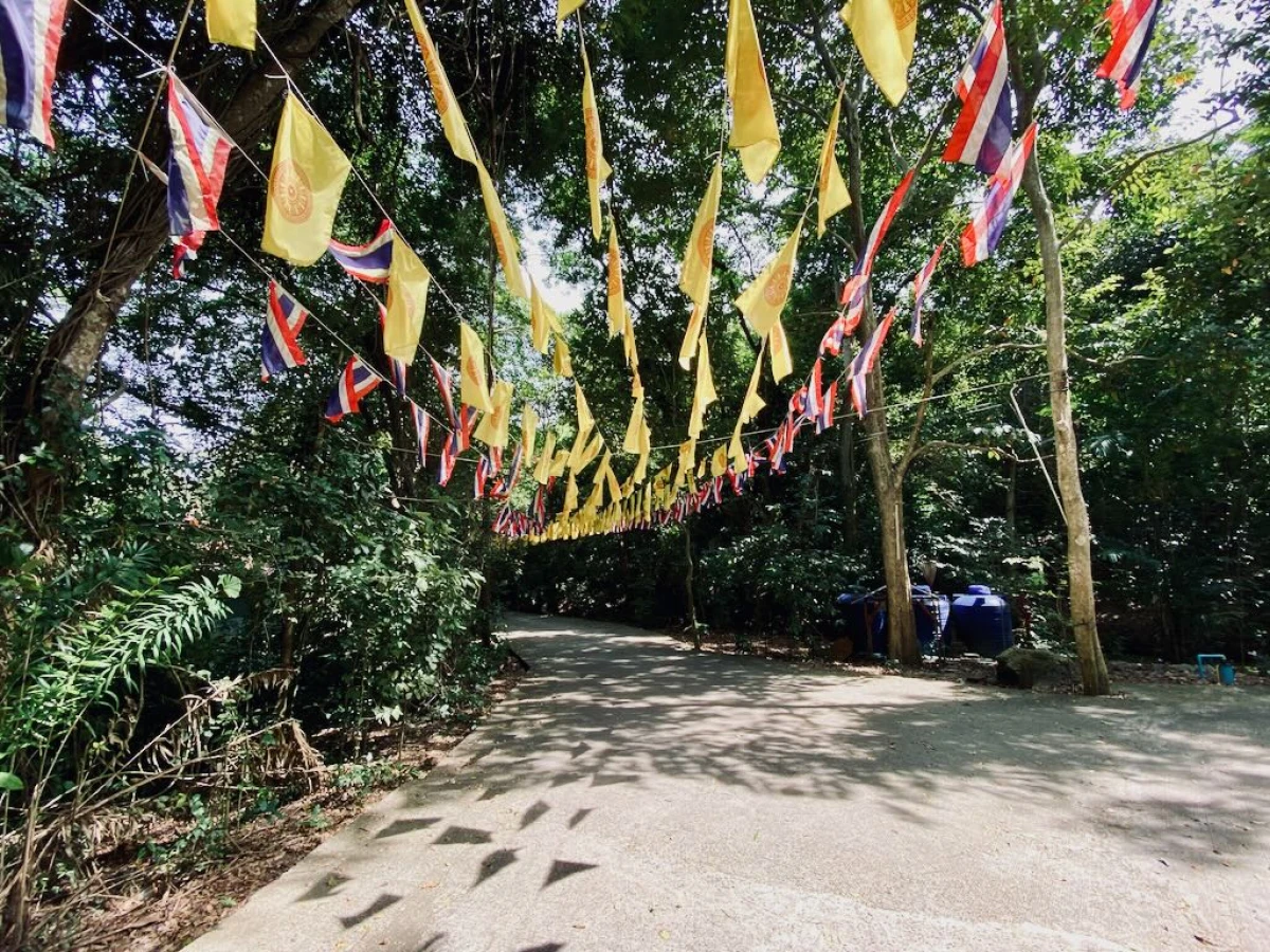 Дорога под флажками