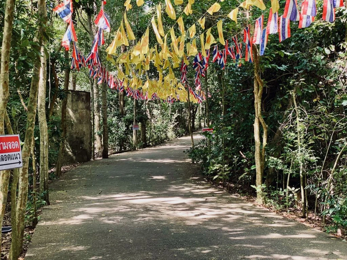 Дорога под флажками