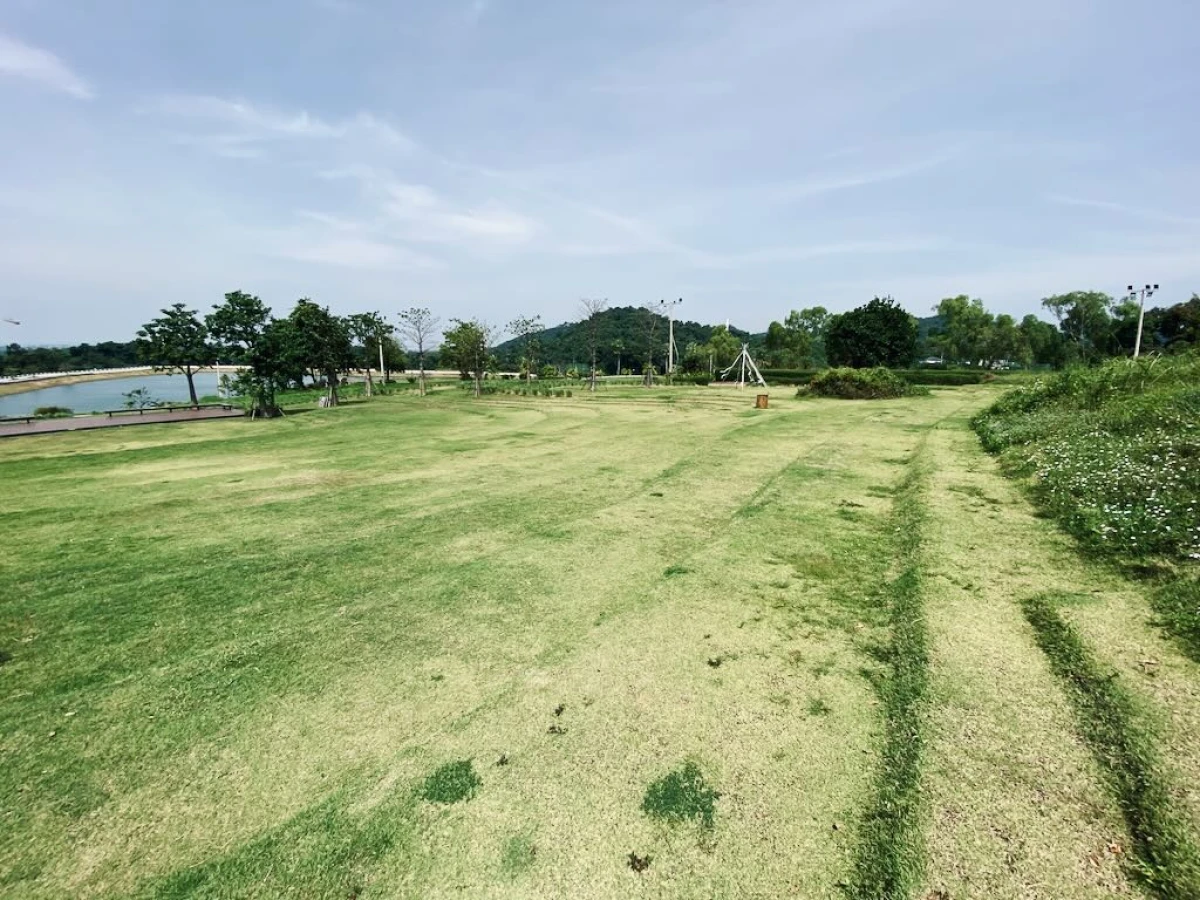 Зелёная сцена