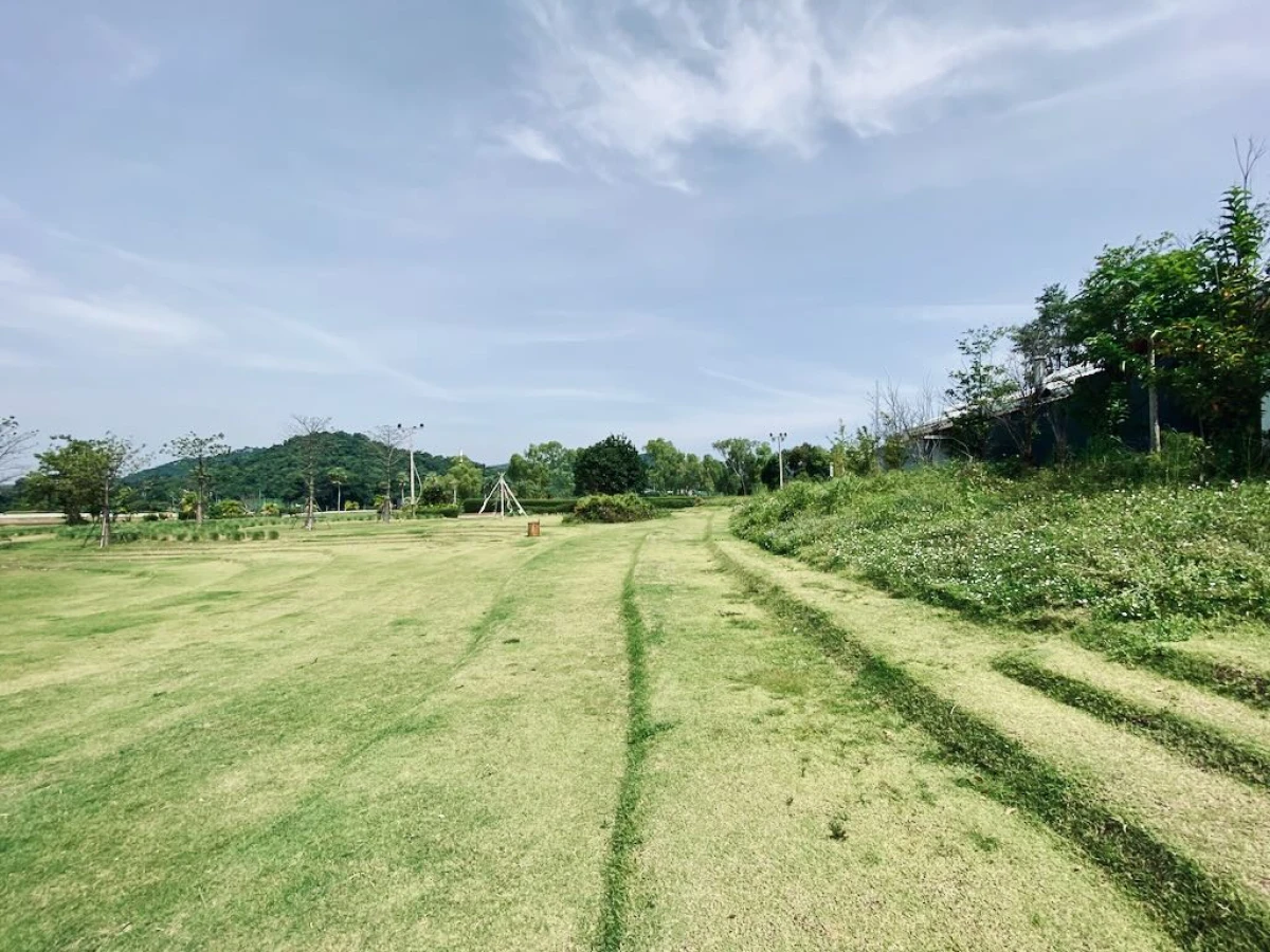 Зелёная сцена