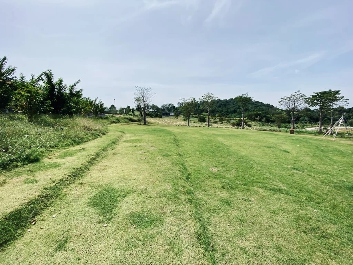 Зелёная сцена