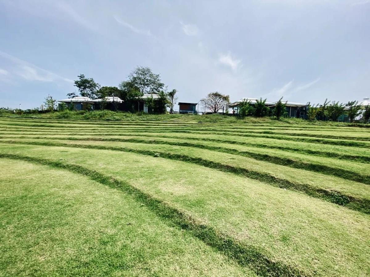 Зелёная сцена