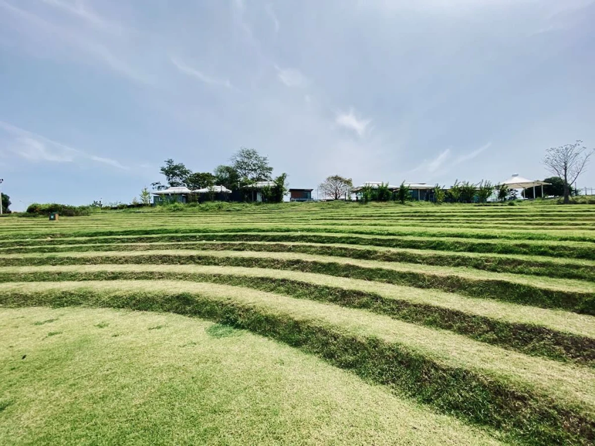 Зелёная сцена