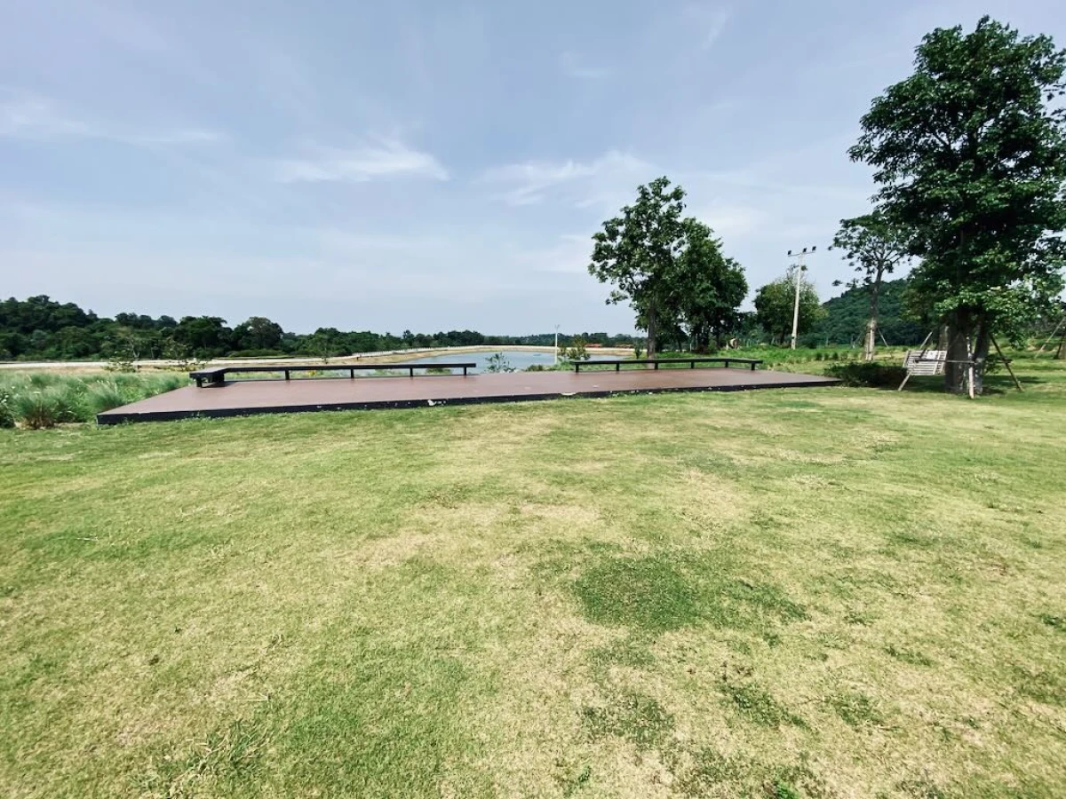 Зелёная сцена