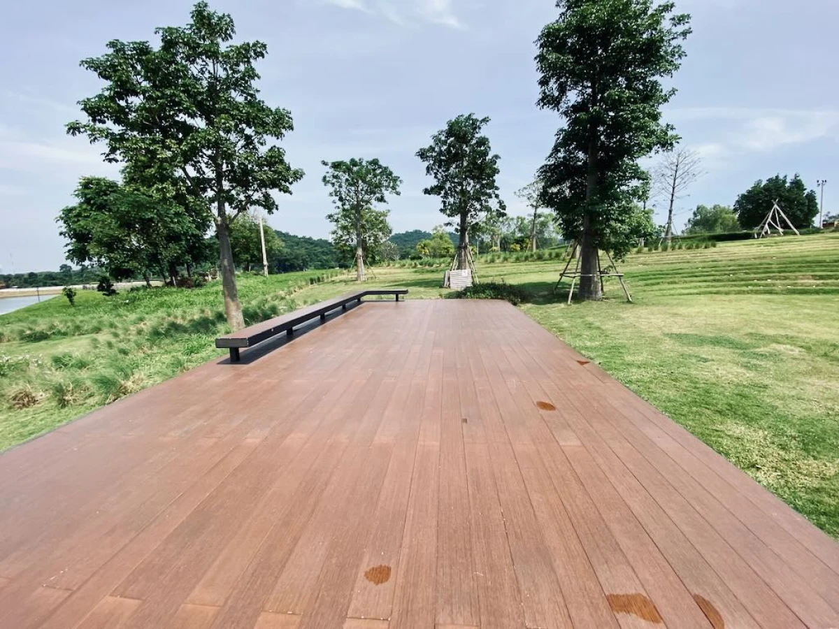 Зелёная сцена