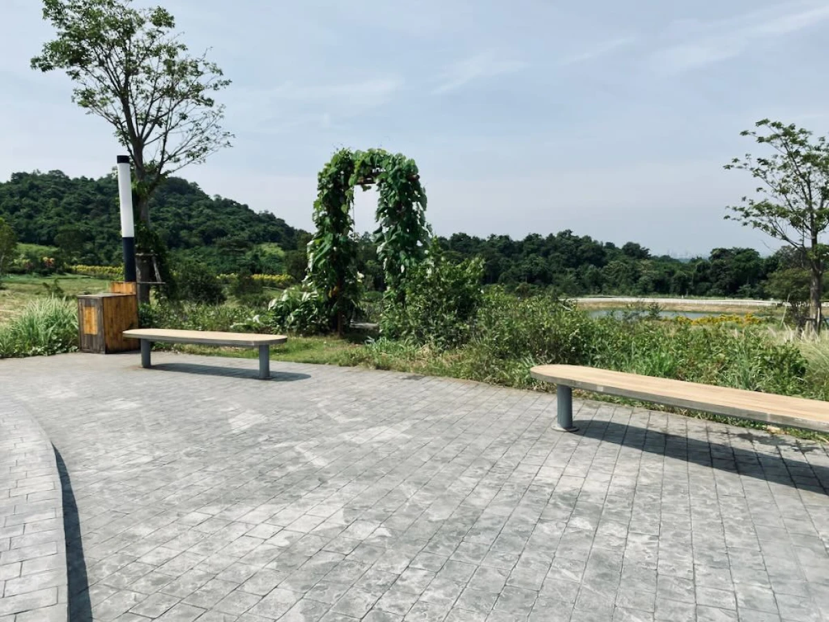 Зелёные качели