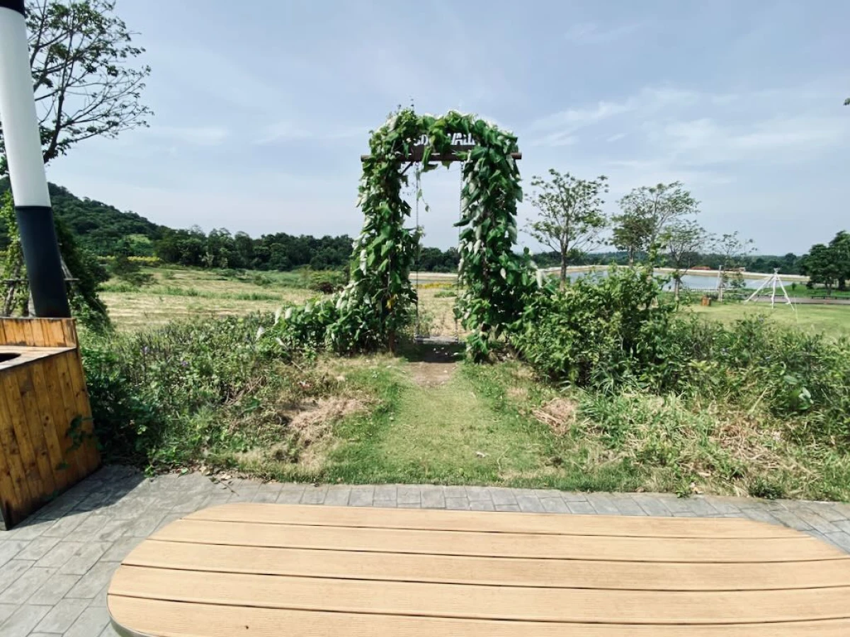 Зелёные качели