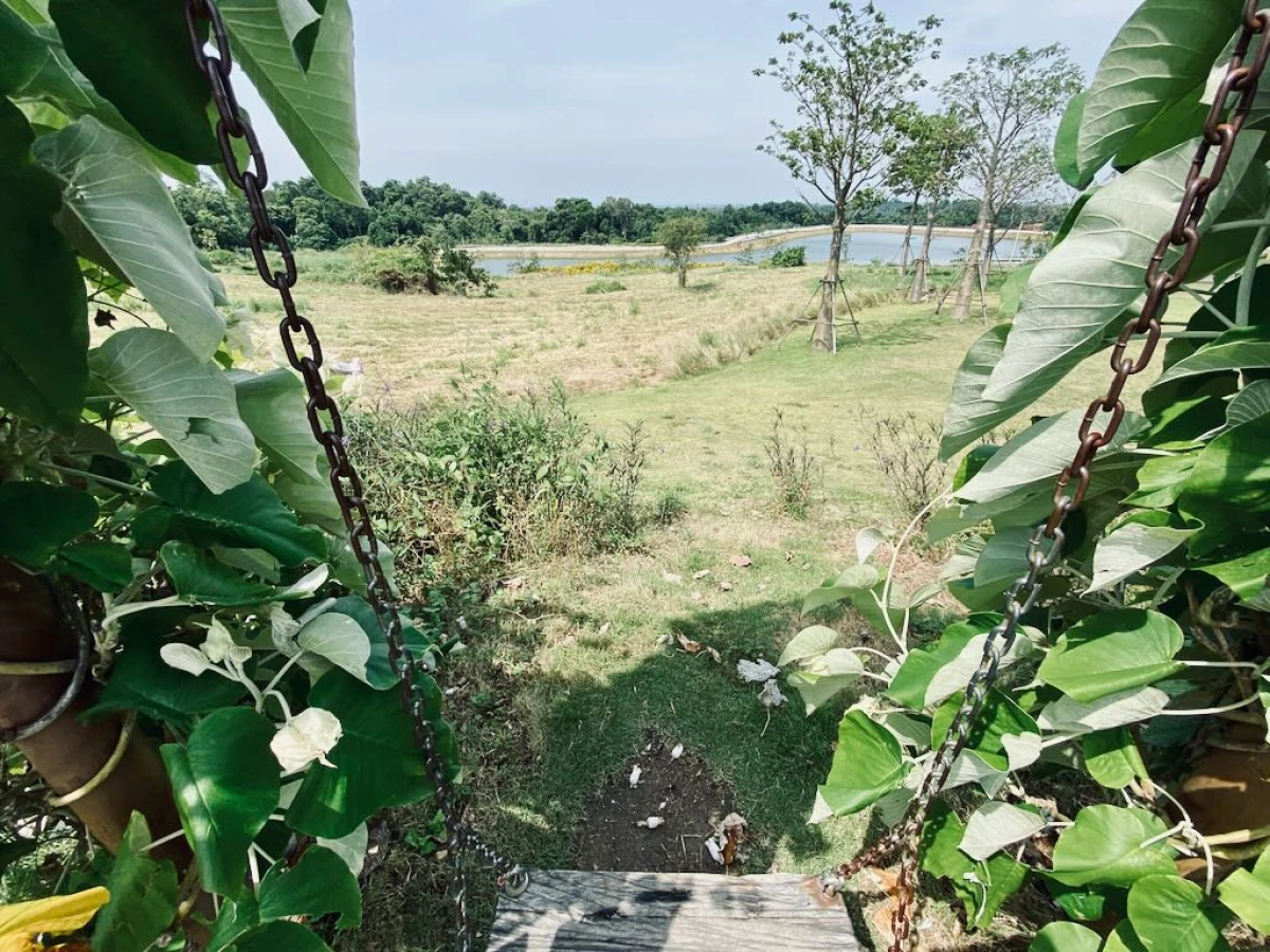 Зелёные качели