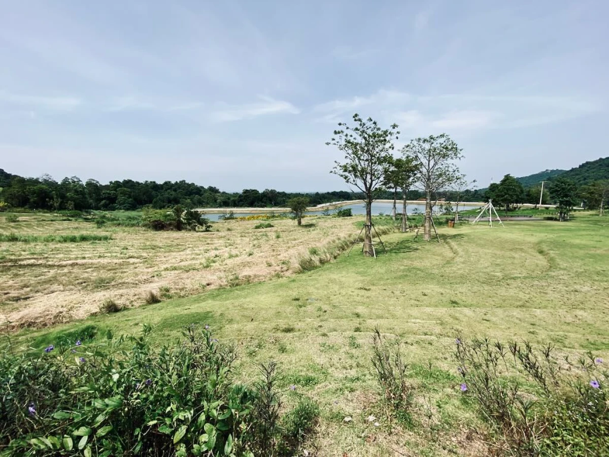 Зелёные качели