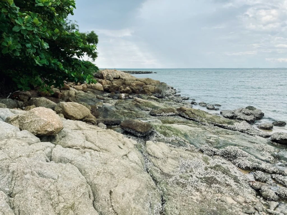 Камни на пляже