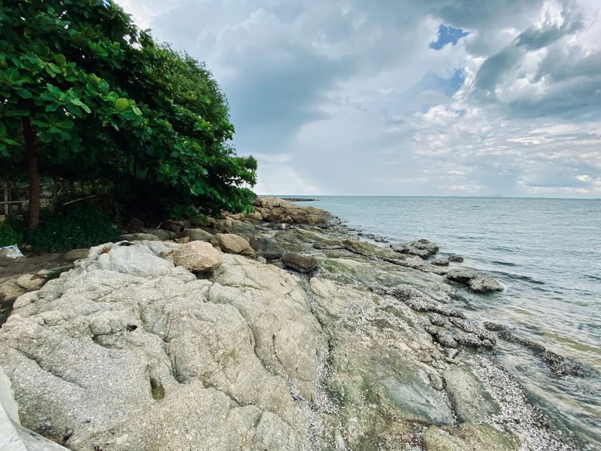 Камни на пляже