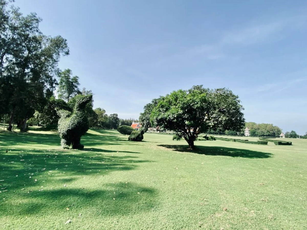 Красивое дерево с густой кроной