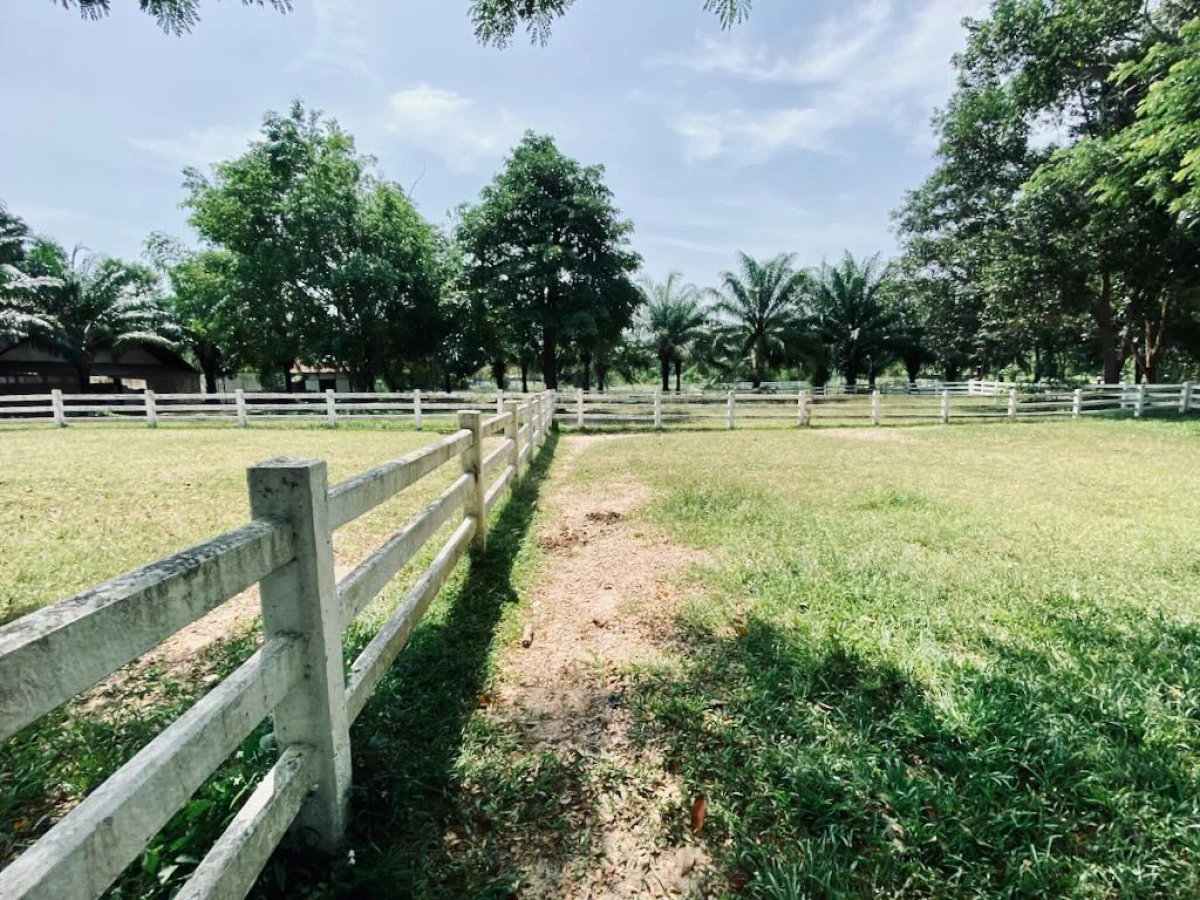 Загон для лошадей