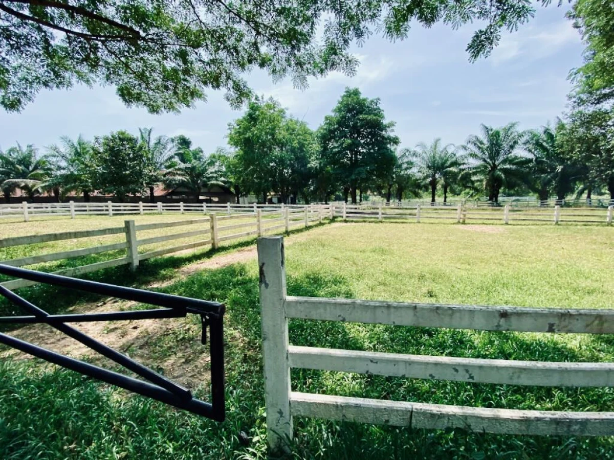 Загон для лошадей