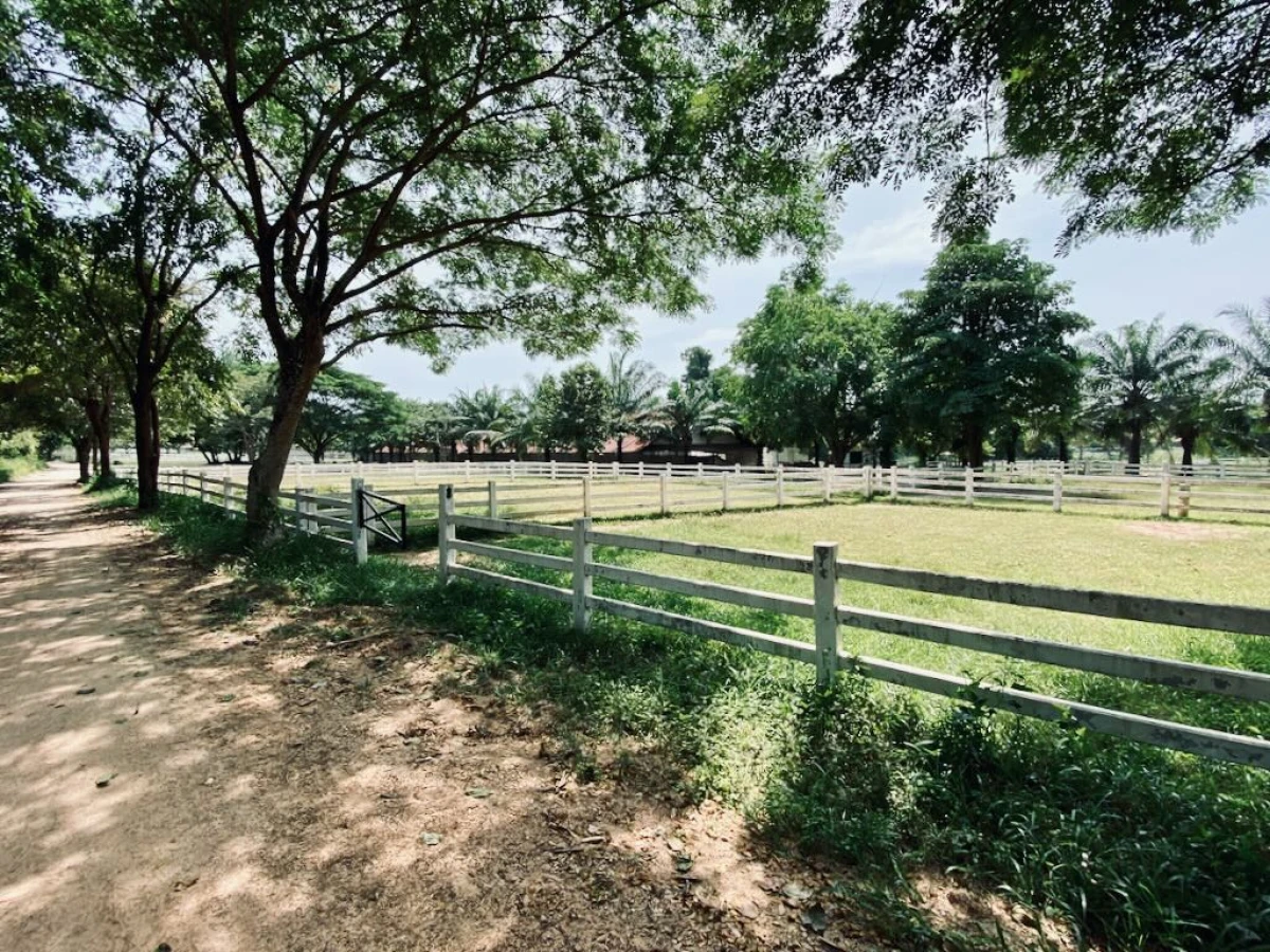 Загон для лошадей