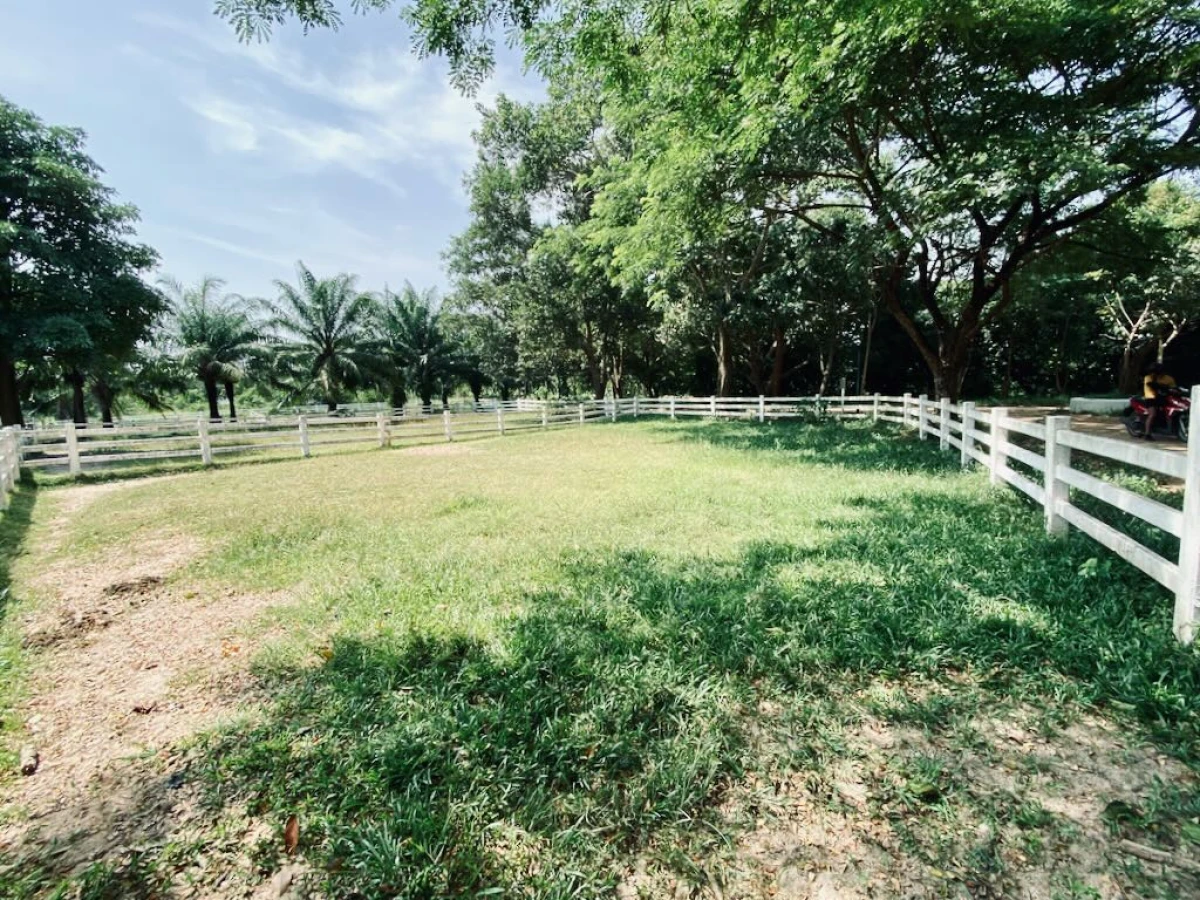 Загон для лошадей