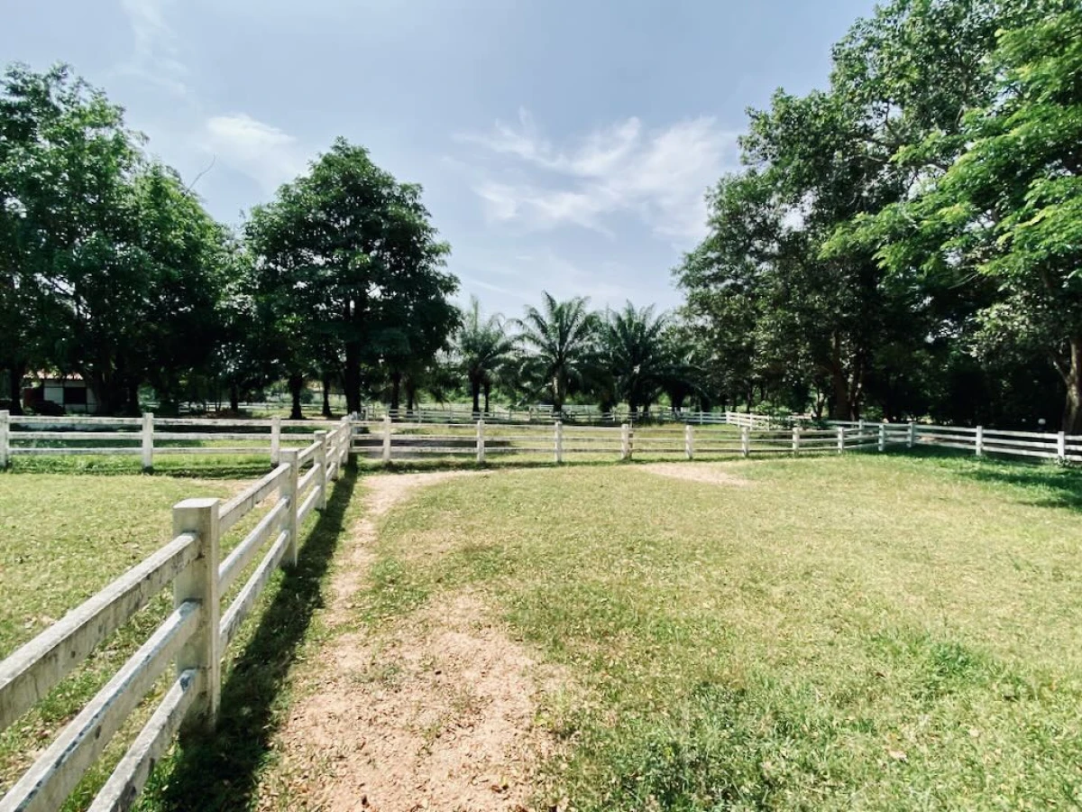 Загон для лошадей