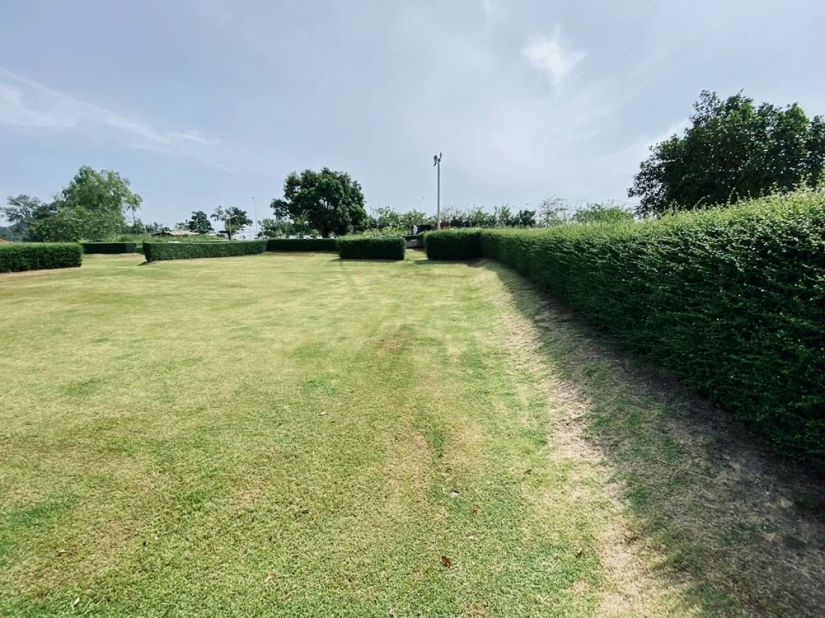 Пустая ухоженная площадка