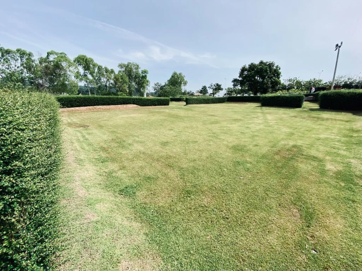 Пустая ухоженная площадка