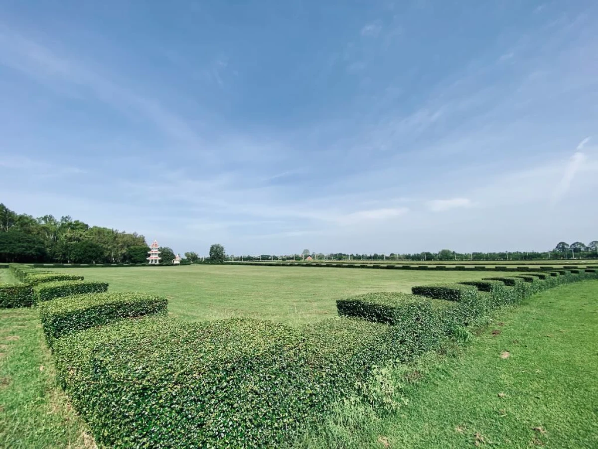 Поле с забором из кустарника