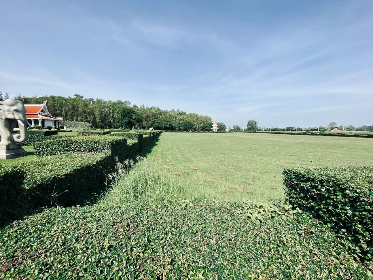 Поле с забором из кустарника