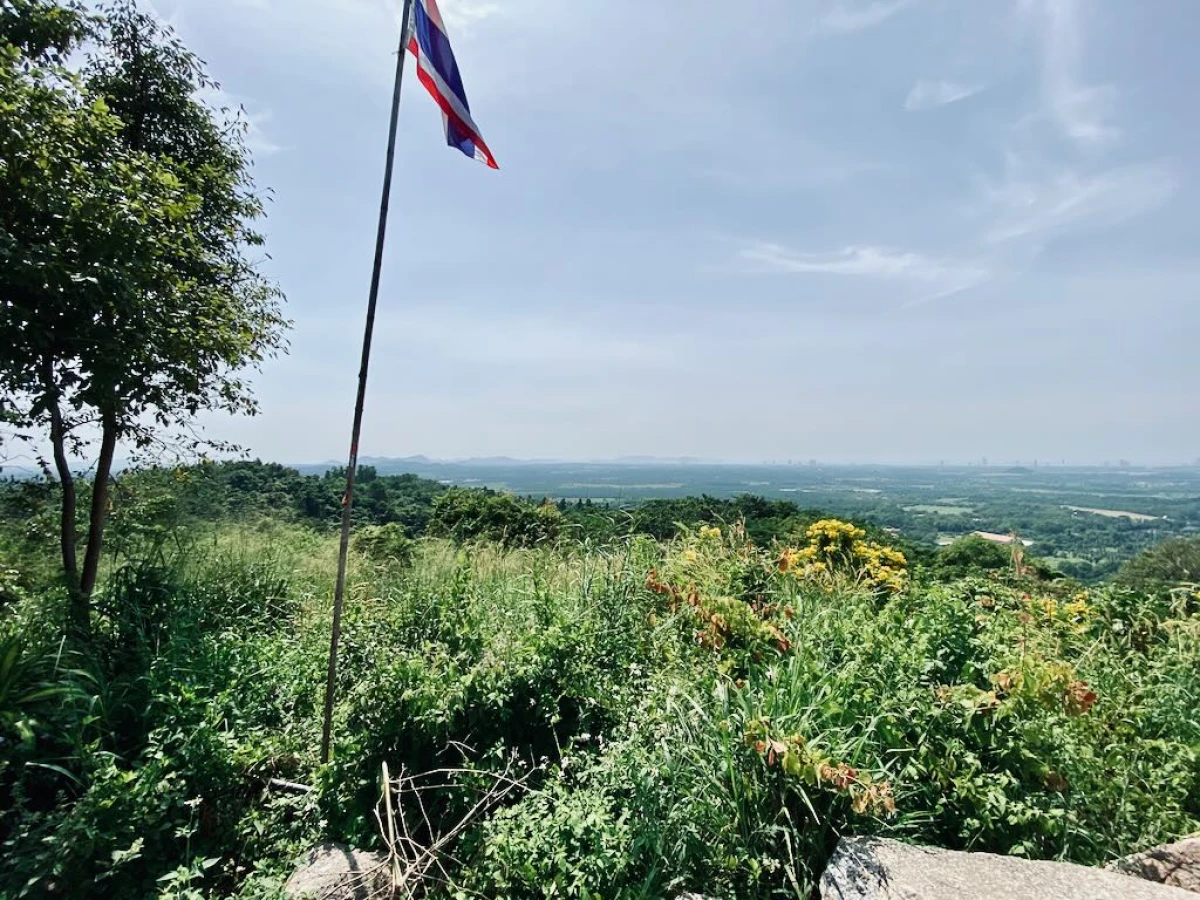 Смотровая площадка