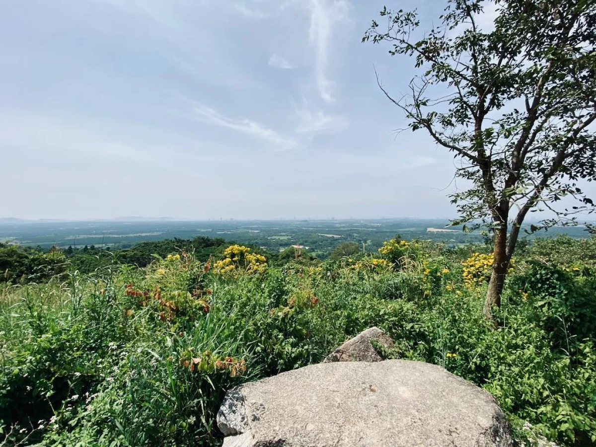 Смотровая площадка