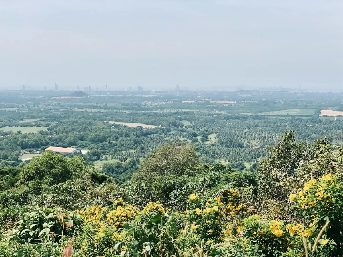 Смотровая площадка