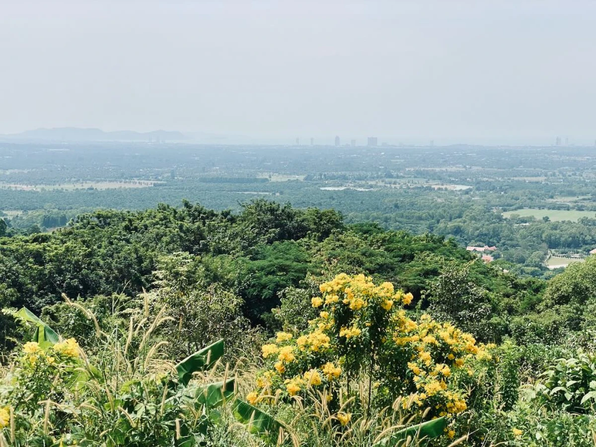 Смотровая площадка