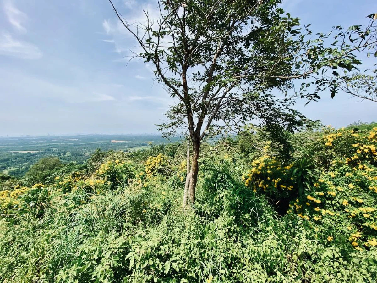 Смотровая площадка