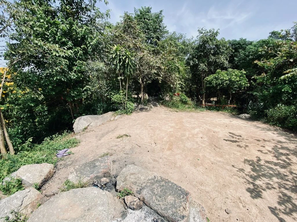 Смотровая площадка