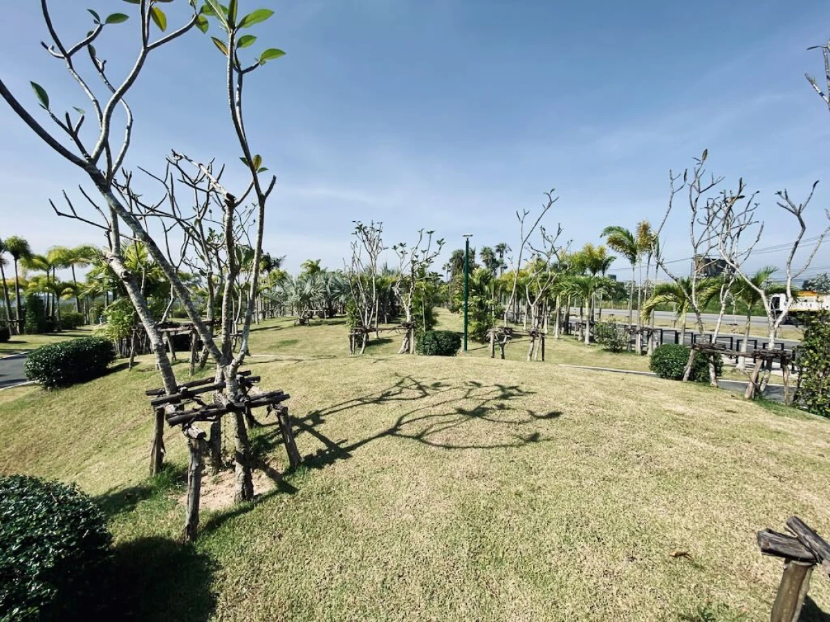 Ухоженные прогулочные дорожки