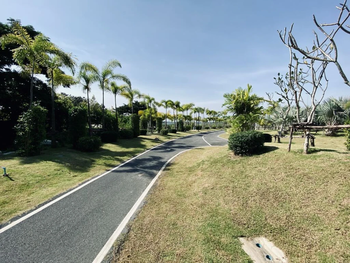 Ухоженные прогулочные дорожки