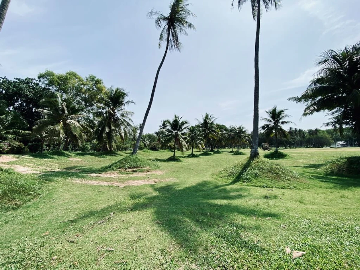 Шикарное дерево